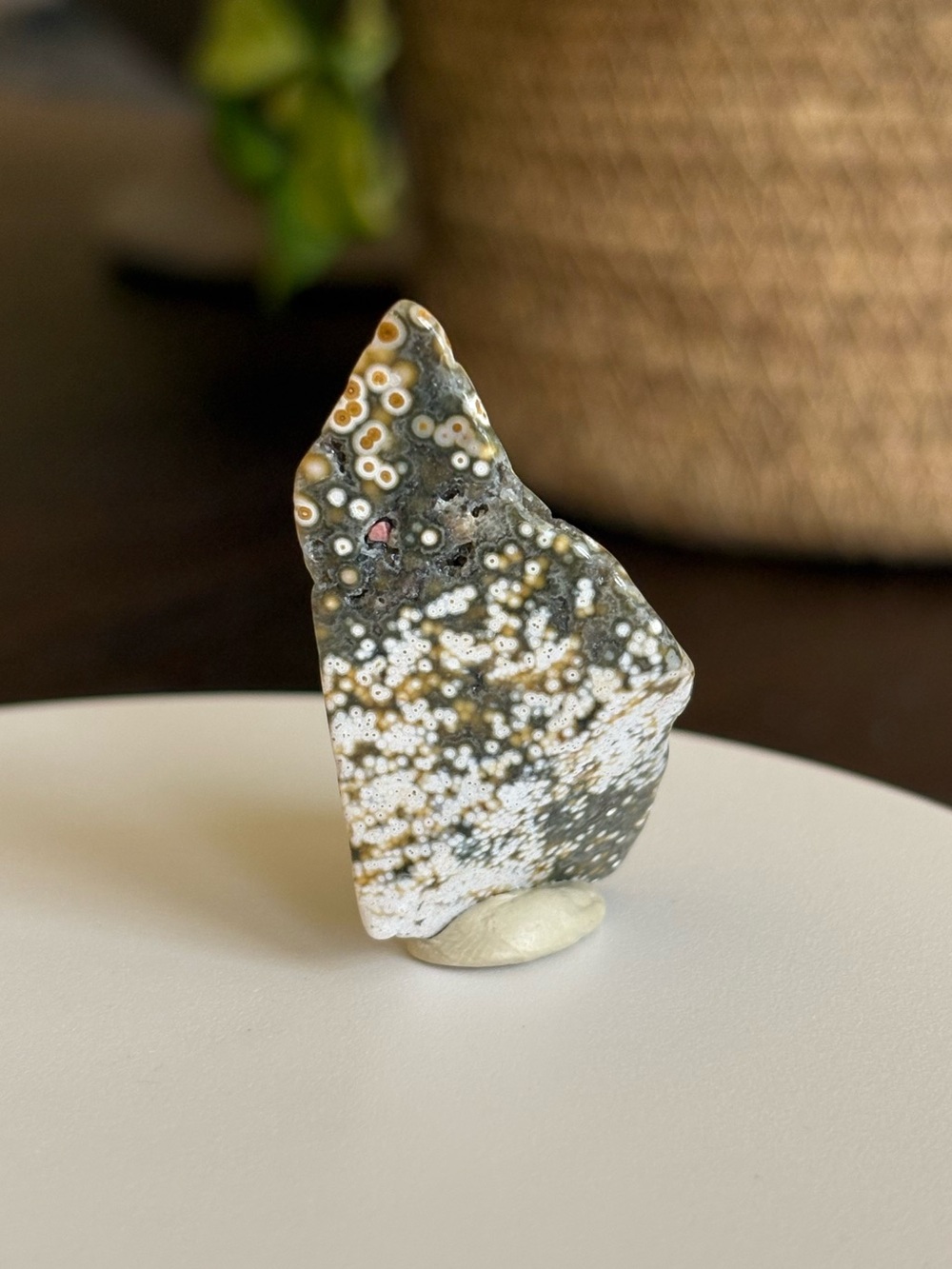 Ocean Jasper Crystal Set - Polished Sea Jasper Bundle - Orbicular Jasper - Picture 17 of 17